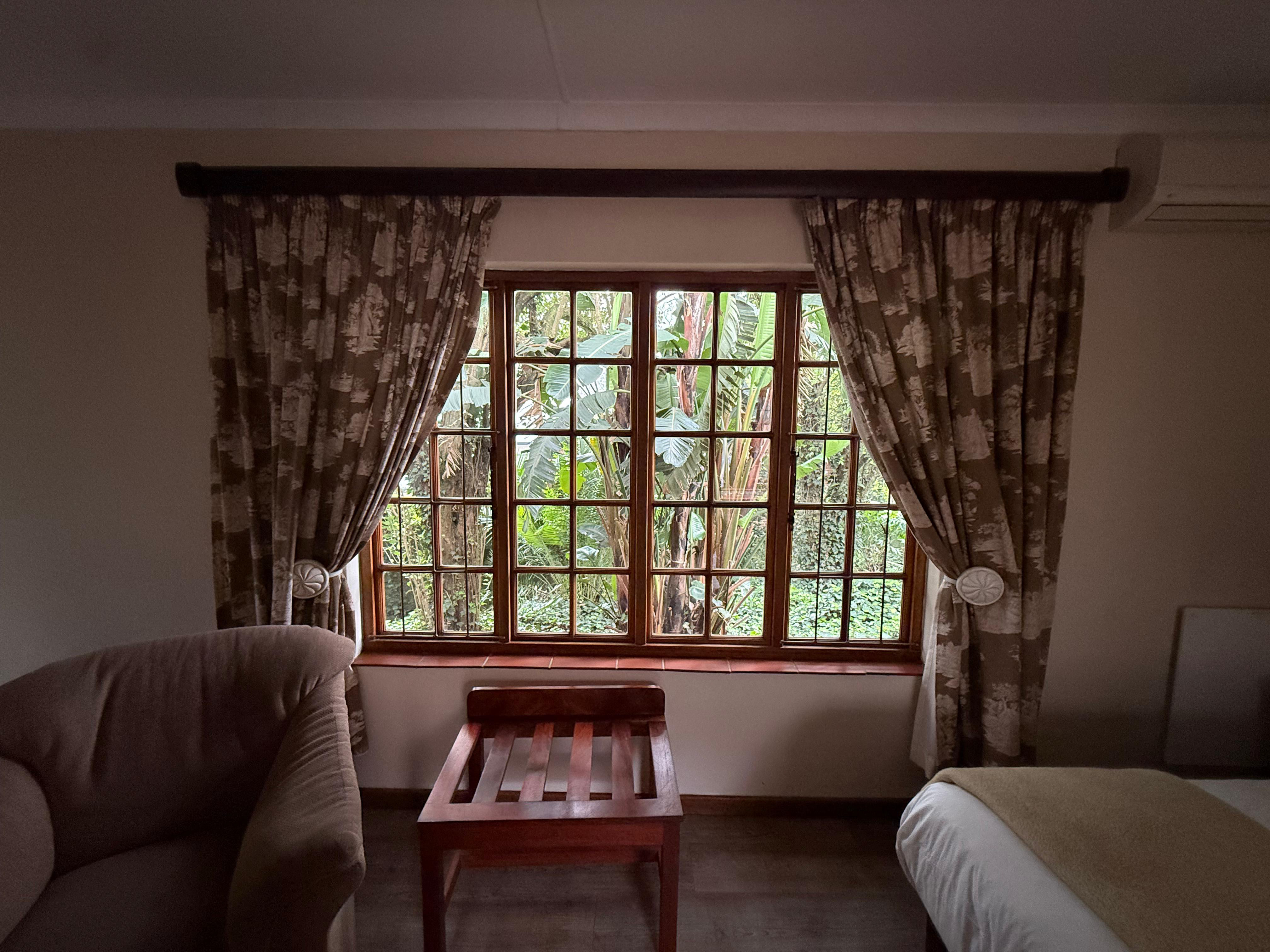 Greenlands window overlooking lush foliage
